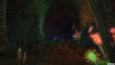 Final Fantasy XIV - Screenshot Final Fantasy XIV - Screenshot