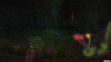 Final Fantasy XIV - Screenshot Final Fantasy XIV - Screenshot