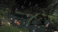 Final Fantasy XIV - Screenshot Final Fantasy XIV - Screenshot