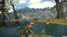 Final Fantasy XIV - Screenshot Final Fantasy XIV - Screenshot