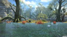 Final Fantasy XIV - Screenshot Final Fantasy XIV - Screenshot