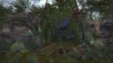 Final Fantasy XIV - Screenshot Final Fantasy XIV - Screenshot