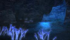 Final Fantasy XIV - Screenshot Final Fantasy XIV - Screenshot