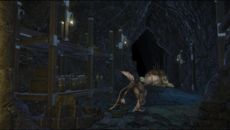 Final Fantasy XIV - Screenshot Final Fantasy XIV - Screenshot