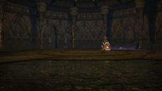 Final Fantasy XIV - Screenshot