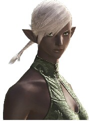 Final Fantasy XIV - Screenshot Final Fantasy XIV - Screenshot