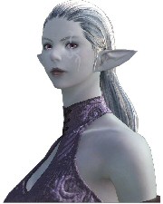 Final Fantasy XIV - Screenshot Final Fantasy XIV - Screenshot