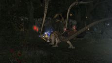 Final Fantasy XIV - Screenshot Final Fantasy XIV - Screenshot