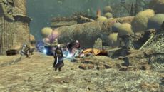 Final Fantasy XIV - Screenshot Final Fantasy XIV - Screenshot