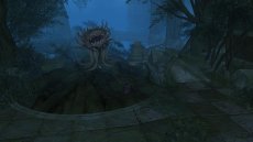 Final Fantasy XIV - Screenshot Final Fantasy XIV - Screenshot