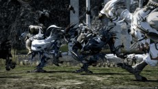 Final Fantasy XIV - Screenshot Final Fantasy XIV - Screenshot