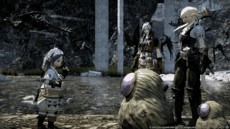 Final Fantasy XIV - Screenshot Final Fantasy XIV - Screenshot