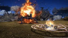 Final Fantasy XIV - Screenshot Final Fantasy XIV - Screenshot