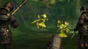 Final Fantasy XIV - Screenshot Final Fantasy XIV - Screenshot